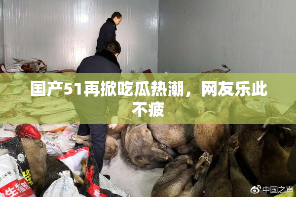国产51再掀吃瓜热潮，网友乐此不疲
