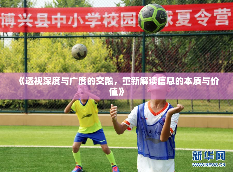《透视深度与广度的交融，重新解读信息的本质与价值》