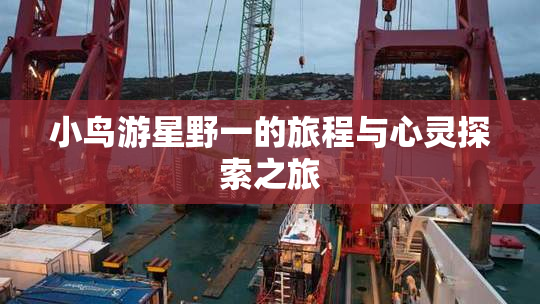 小鸟游星野一的旅程与心灵探索之旅