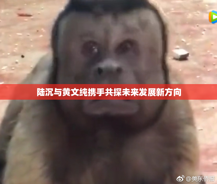 陆沉与黄文纯携手共探未来发展新方向