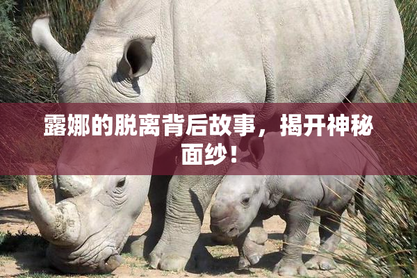 露娜的脱离背后故事，揭开神秘面纱！