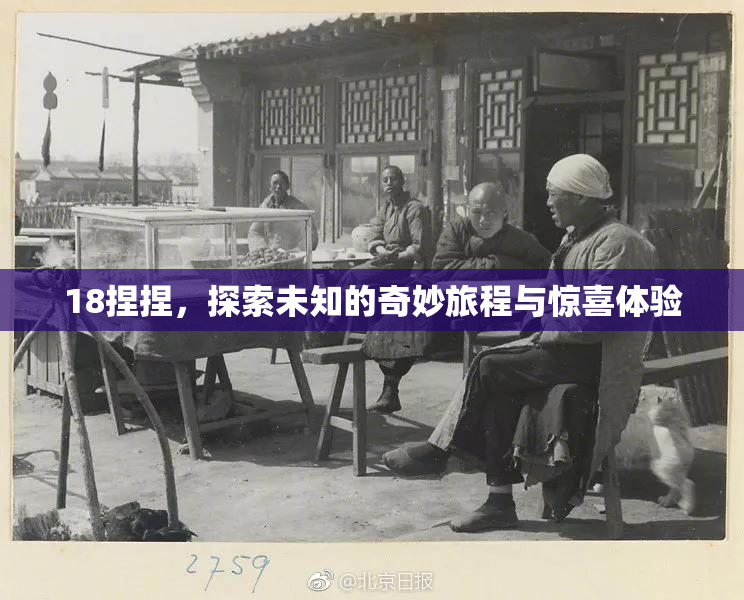 18捏捏，探索未知的奇妙旅程与惊喜体验