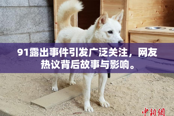91露出事件引发广泛关注，网友热议背后故事与影响。