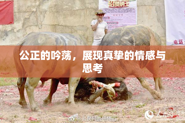 公正的吟荡，展现真挚的情感与思考