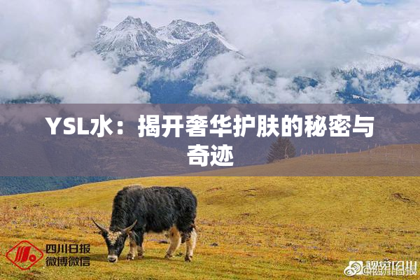 YSL水：揭开奢华护肤的秘密与奇迹