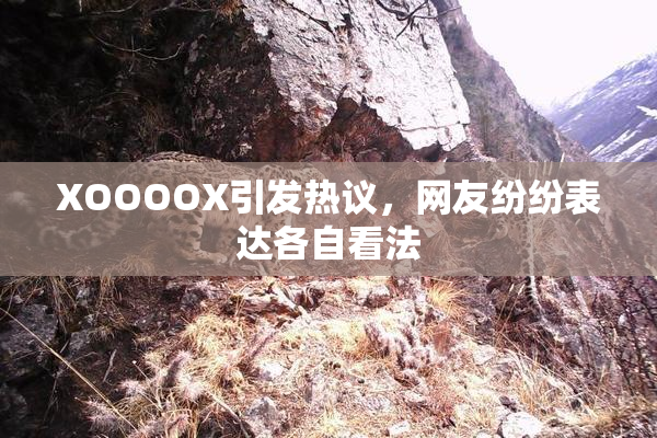 XOOOOX引发热议，网友纷纷表达各自看法