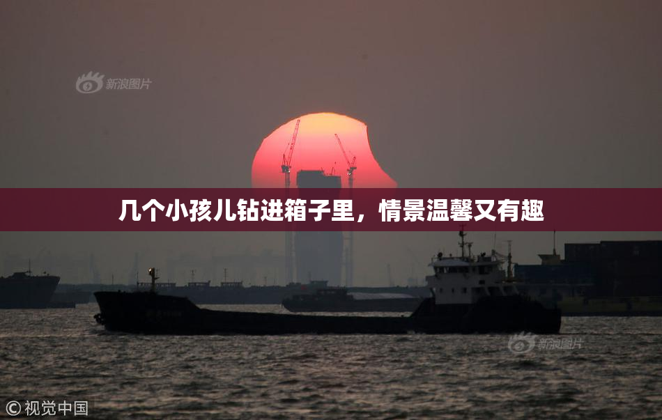 几个小孩儿钻进箱子里，情景温馨又有趣