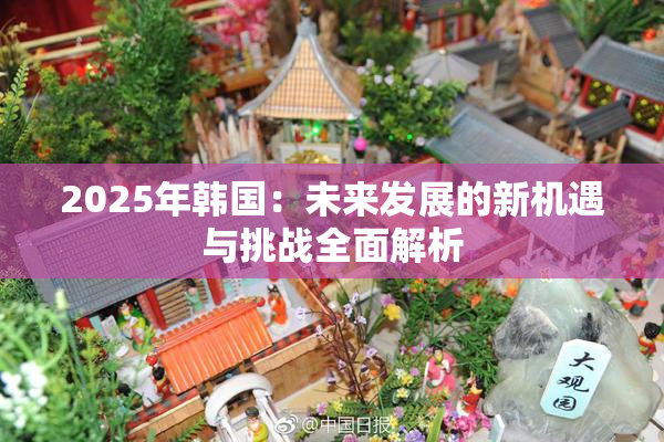 2025年韩国：未来发展的新机遇与挑战全面解析
