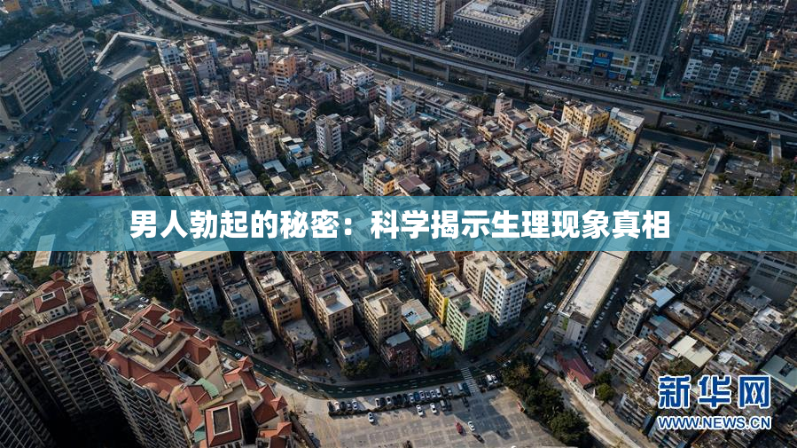 男人勃起的秘密：科学揭示生理现象真相