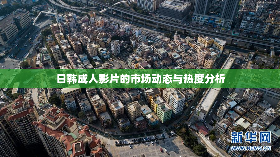 日韩成人影片的市场动态与热度分析