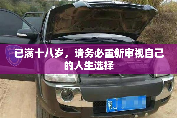 已满十八岁，请务必重新审视自己的人生选择