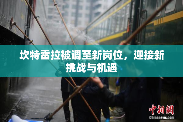坎特雷拉被调至新岗位，迎接新挑战与机遇