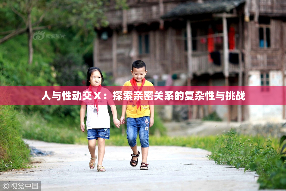 人与性动交Ⅹ：探索亲密关系的复杂性与挑战