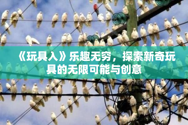 《玩具入》乐趣无穷，探索新奇玩具的无限可能与创意