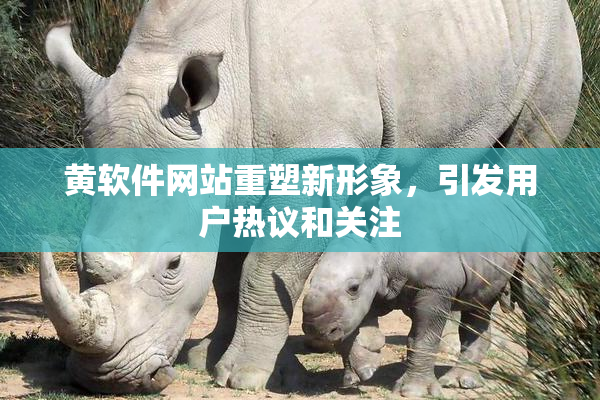 黄软件网站重塑新形象，引发用户热议和关注
