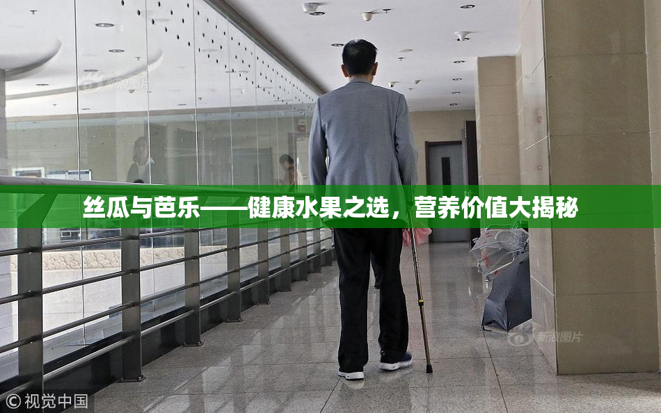 丝瓜与芭乐——健康水果之选，营养价值大揭秘