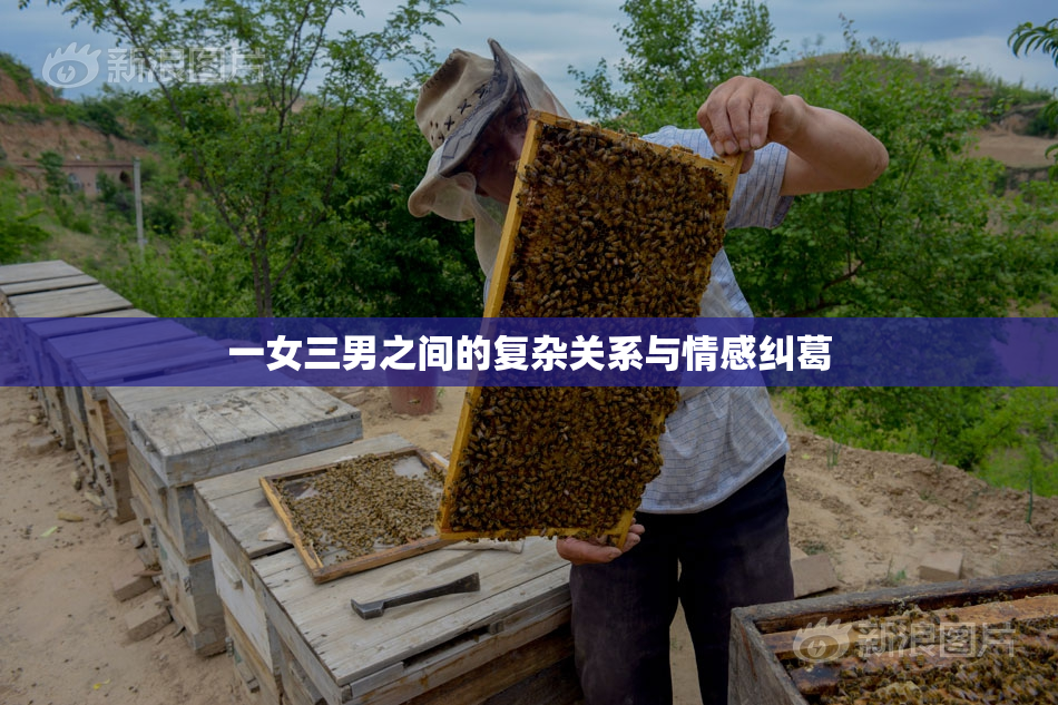 一女三男之间的复杂关系与情感纠葛
