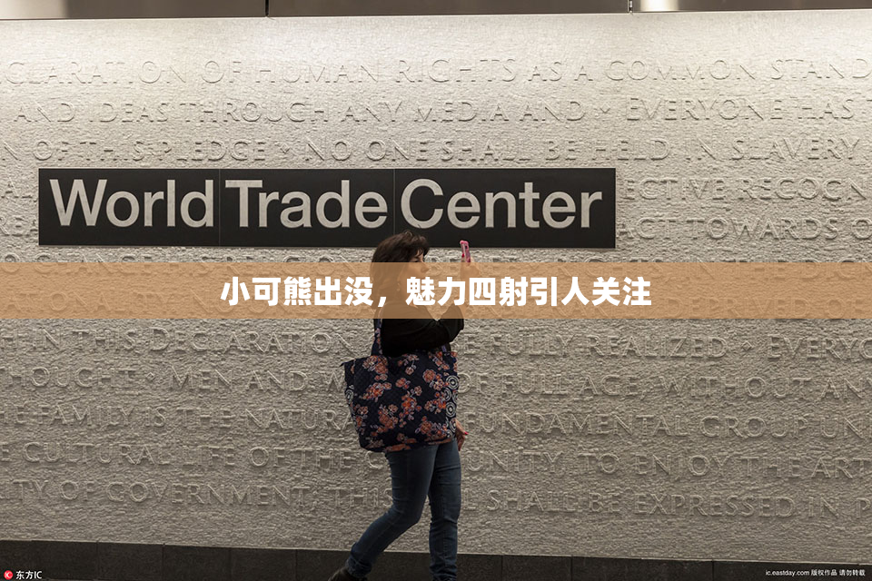 小可熊出没，魅力四射引人关注