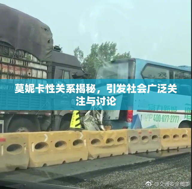 莫妮卡性关系揭秘，引发社会广泛关注与讨论