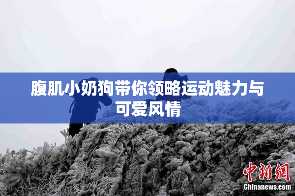 腹肌小奶狗带你领略运动魅力与可爱风情