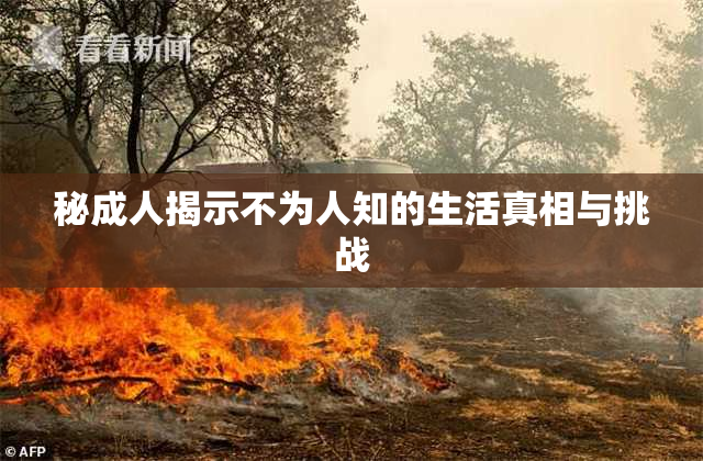 秘成人揭示不为人知的生活真相与挑战