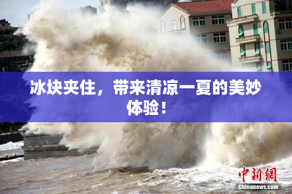 冰块夹住，带来清凉一夏的美妙体验！
