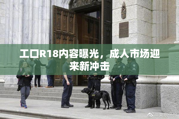 工口R18内容曝光，成人市场迎来新冲击