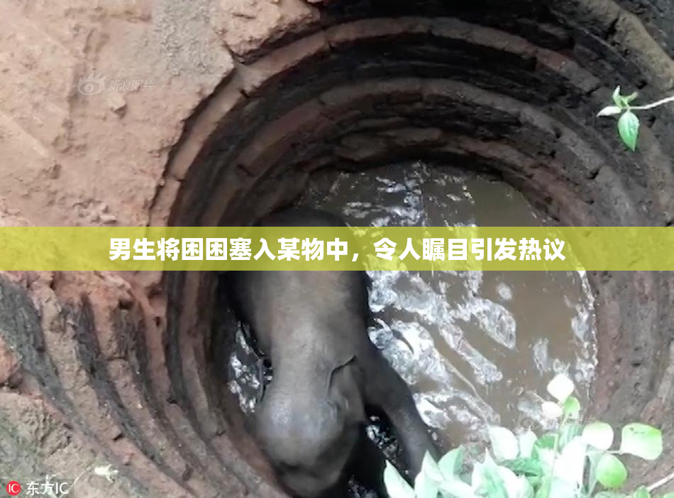 男生将困困塞入某物中，令人瞩目引发热议