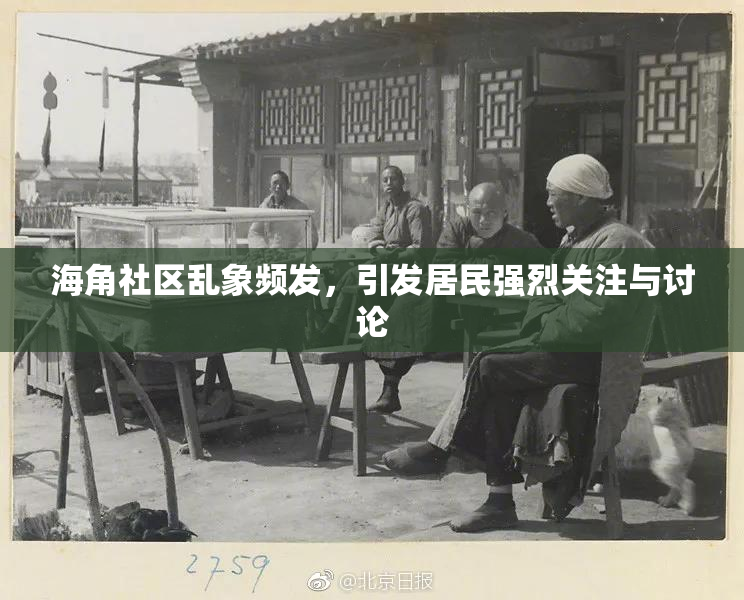 海角社区乱象频发，引发居民强烈关注与讨论