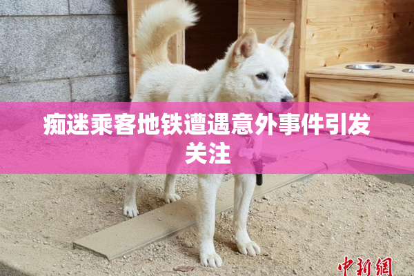 痴迷乘客地铁遭遇意外事件引发关注