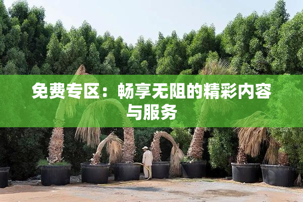 免费专区：畅享无阻的精彩内容与服务
