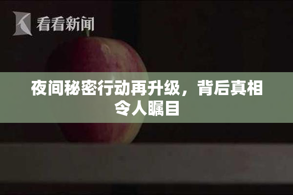 夜间秘密行动再升级，背后真相令人瞩目