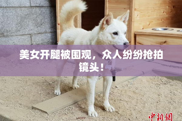美女开腿被围观，众人纷纷抢拍镜头！