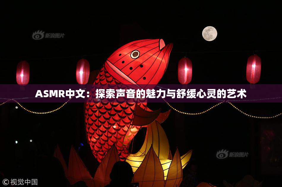ASMR中文：探索声音的魅力与舒缓心灵的艺术