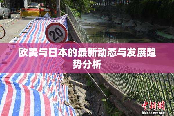 欧美与日本的最新动态与发展趋势分析