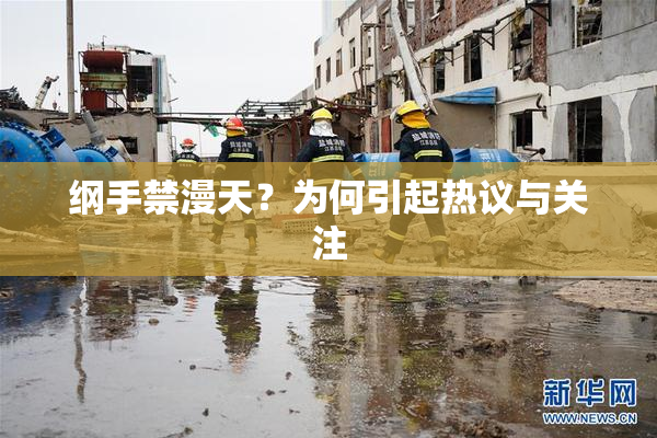 纲手禁漫天？为何引起热议与关注