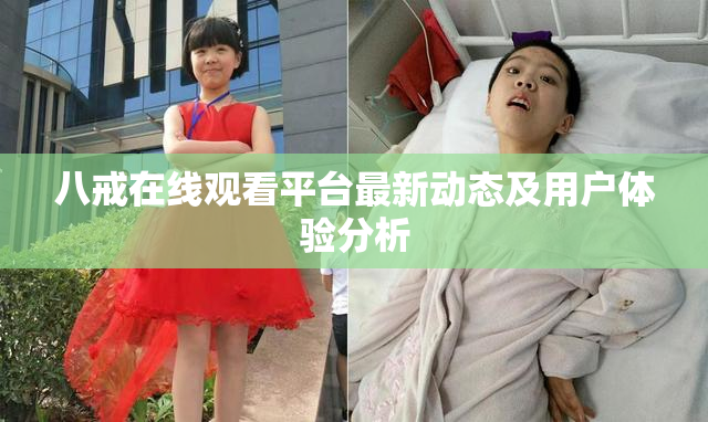 八戒在线观看平台最新动态及用户体验分析