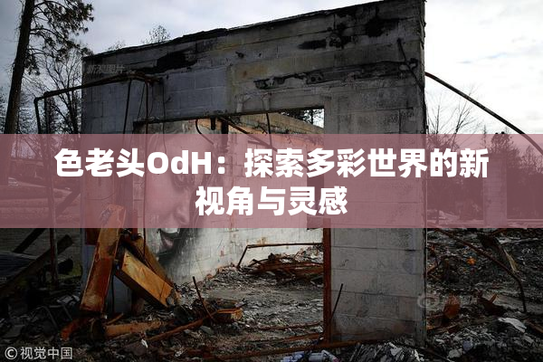 色老头OdH：探索多彩世界的新视角与灵感