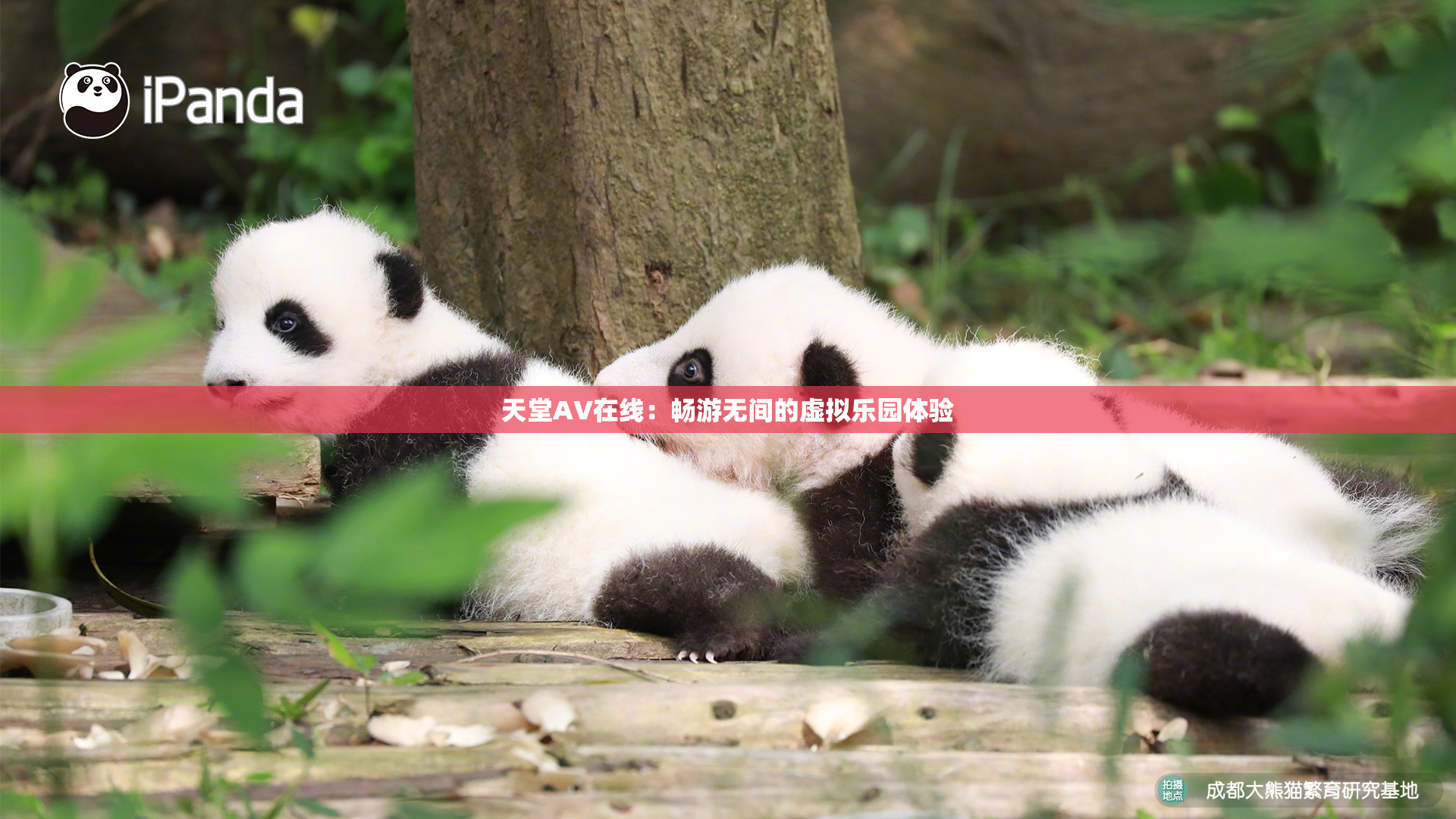 天堂A∨在线：畅游无间的虚拟乐园体验
