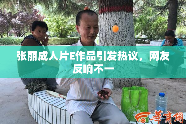 张丽成人片E作品引发热议，网友反响不一