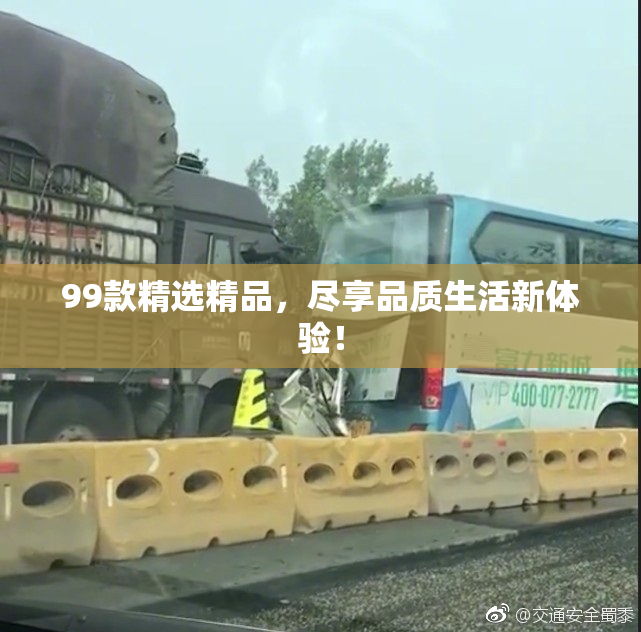 99款精选精品，尽享品质生活新体验！