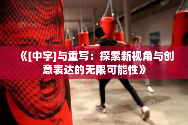 《[中字]与重写：探索新视角与创意表达的无限可能性》