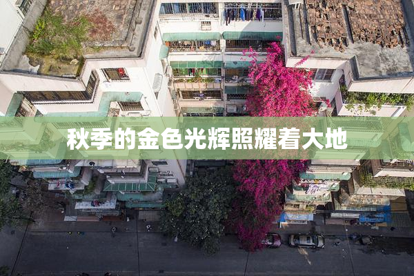秋季的金色光辉照耀着大地
