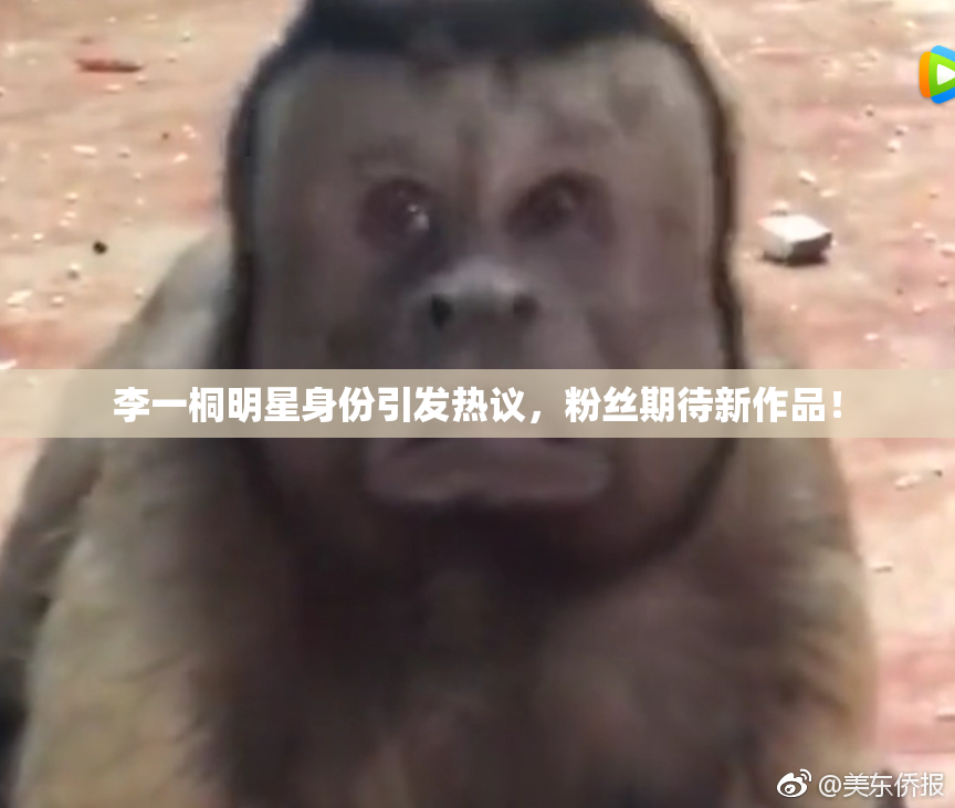 李一桐明星身份引发热议，粉丝期待新作品！