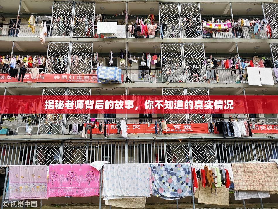 揭秘老师背后的故事，你不知道的真实情况