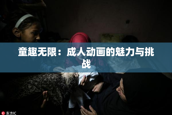 童趣无限：成人动画的魅力与挑战