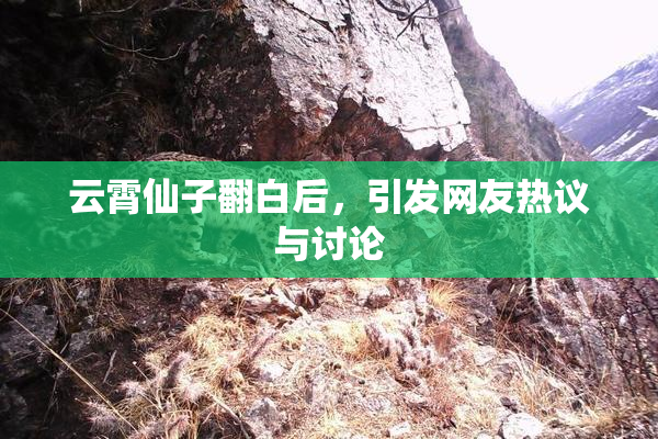 云霄仙子翻白后，引发网友热议与讨论