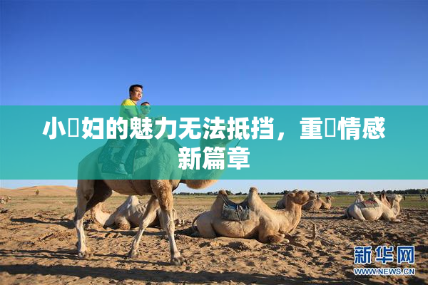 小婬妇的魅力无法抵挡，重啟情感新篇章