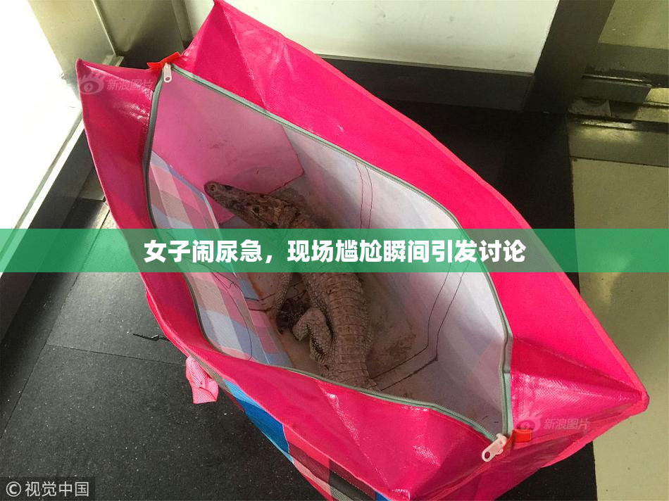 女子闹尿急，现场尴尬瞬间引发讨论