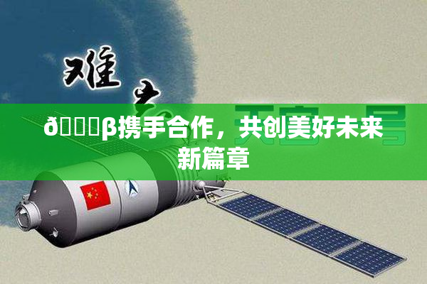 👙β携手合作，共创美好未来新篇章